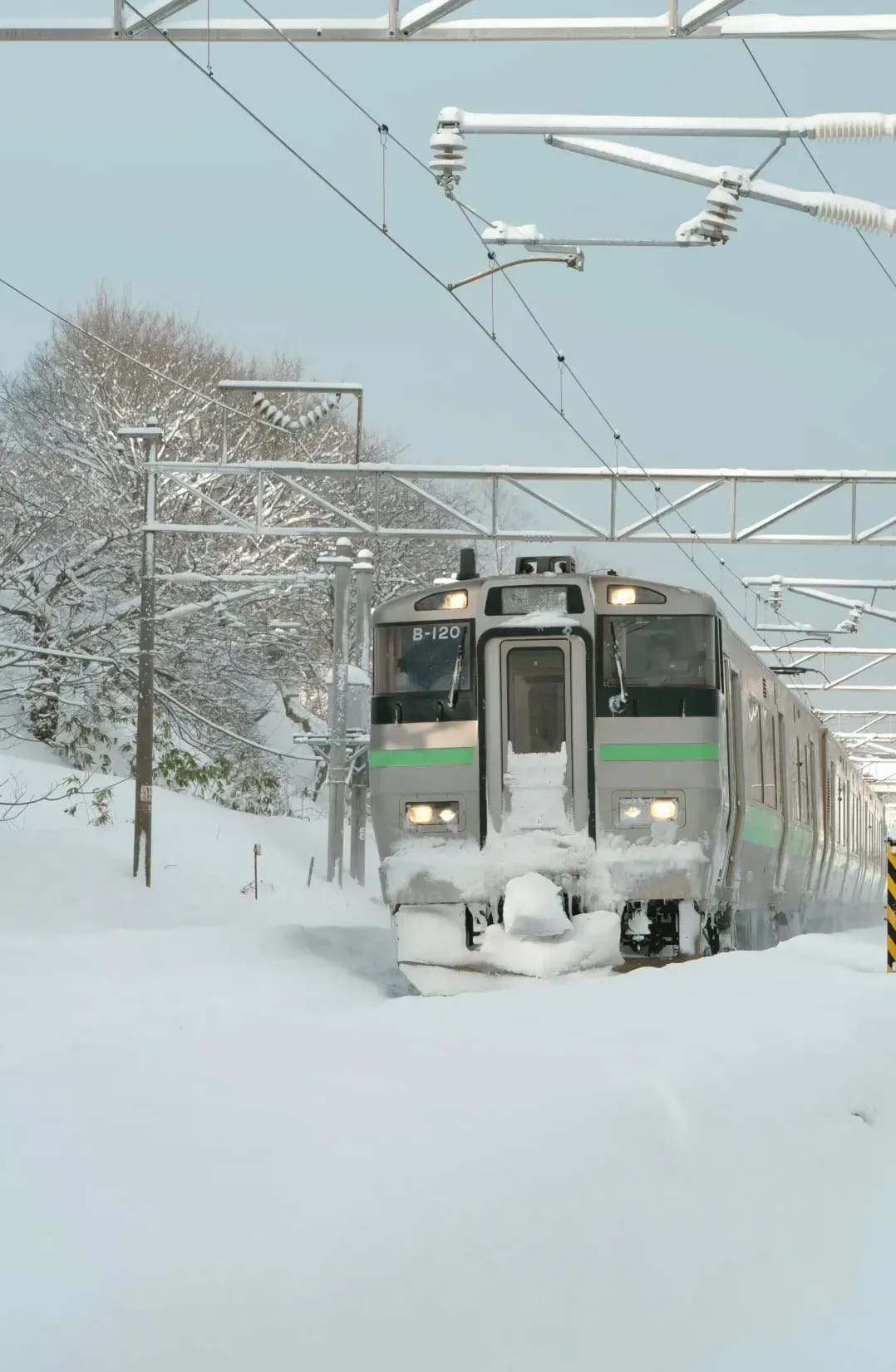 Harbourline Regional Services 3